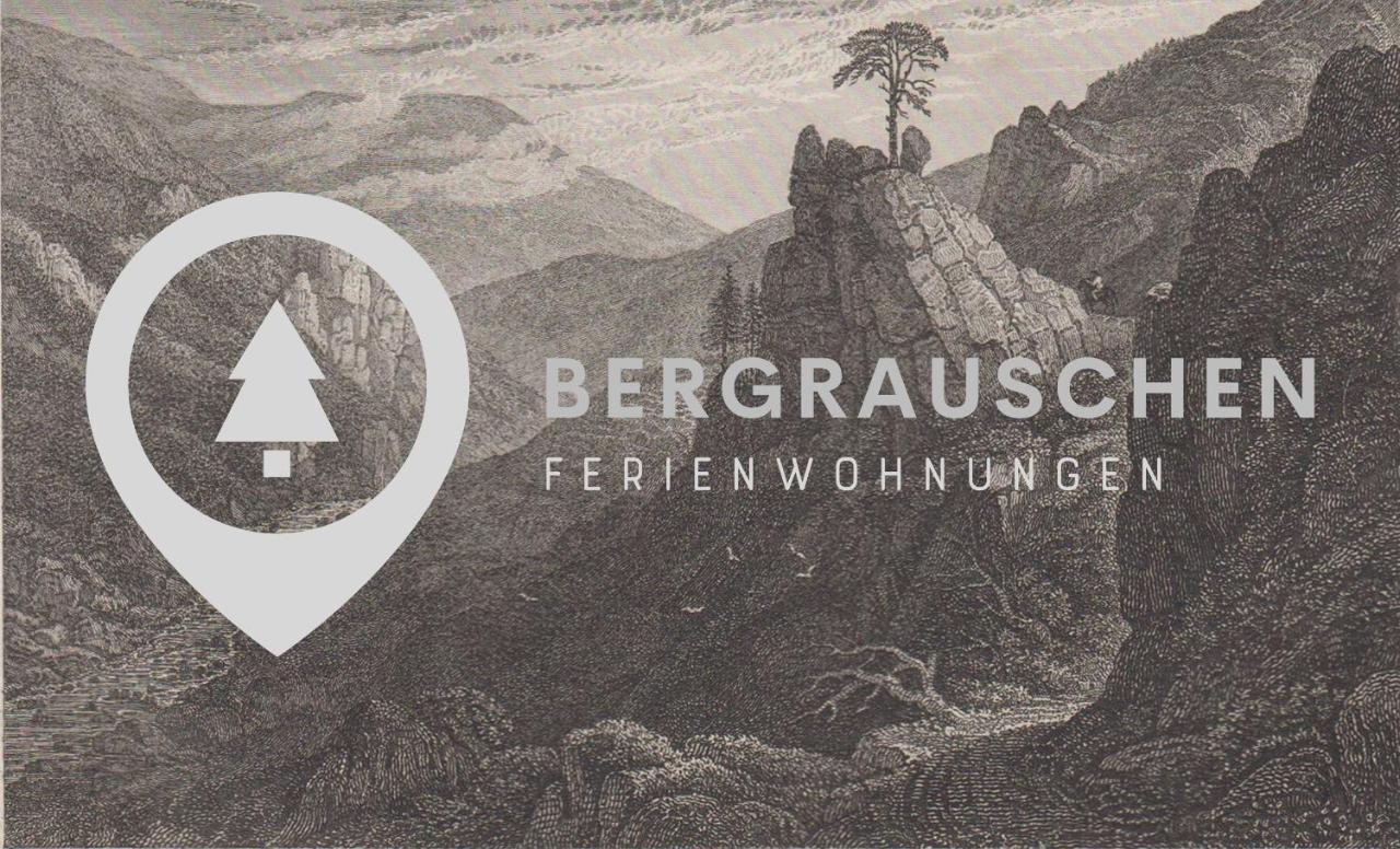 ゴスラーBergrauschen - Waldloft - Preise Inklusive Waescheアパートメント エクステリア 写真
